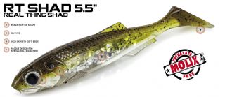 T_MOLIX RT SHAD 5.5 FROM PREDATOR TACKLE.*